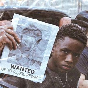 Meet your Posher, Joey